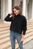 Turtle Neck Long Sleeve Pullover Sweater